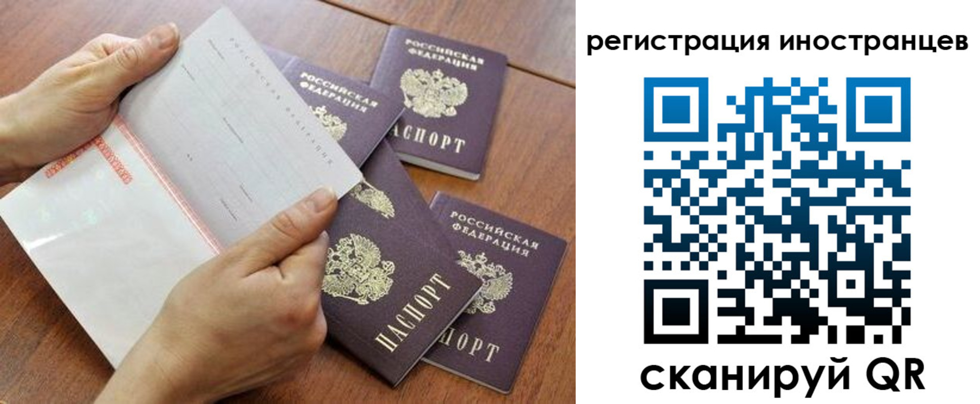 прописка поиск в Шали